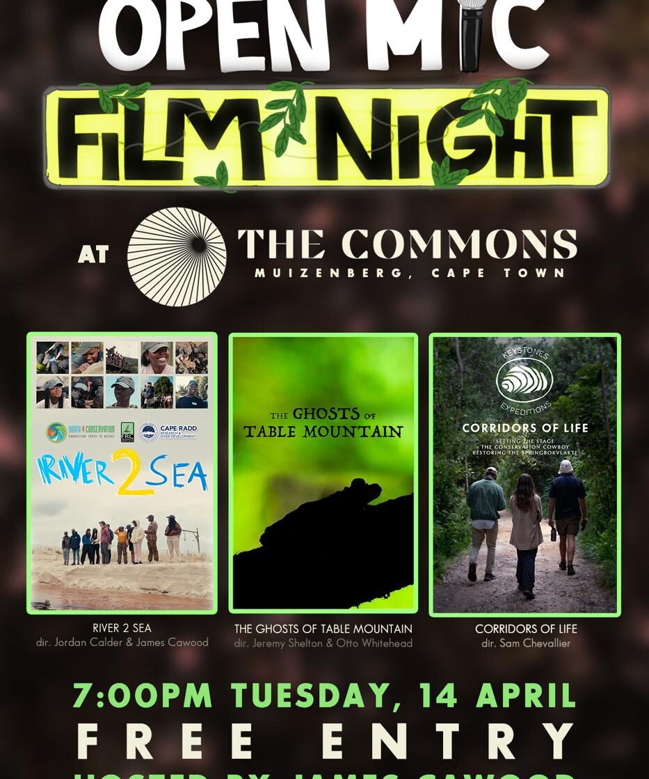 RE-ROOT (Ancestral Healing Workshop at The Commons, Muizenberg)